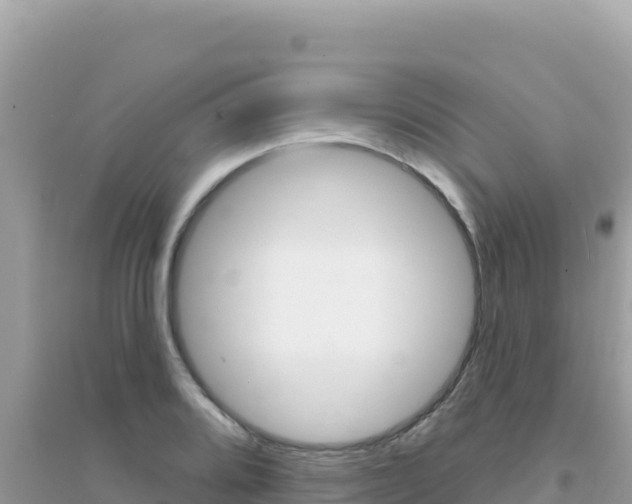 X0000095131080200712071002