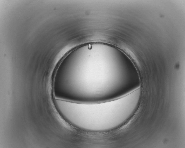 X0000095131082200712071002