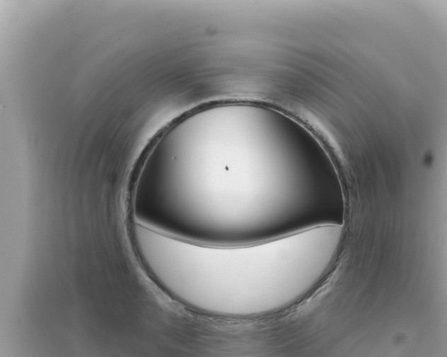X0000095131085200712071002