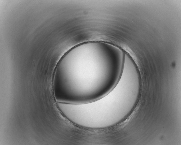 X0000095131089200712071002
