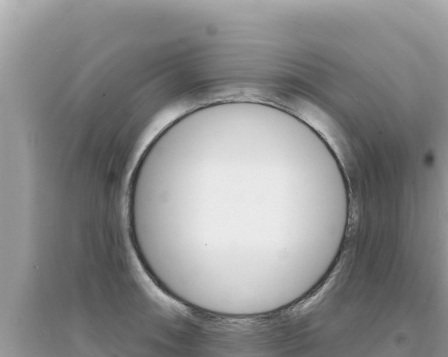 X0000095131090200712071002