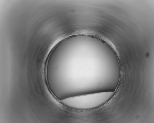 X0000095131091200712071002