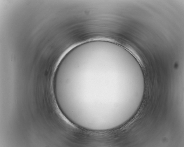 X0000095131092200712071002