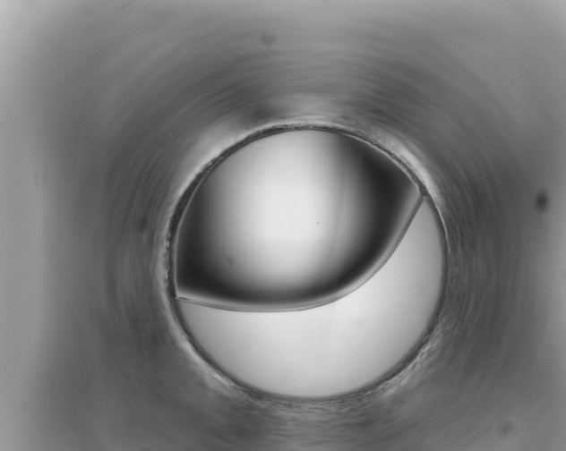 X0000095131093200712071002