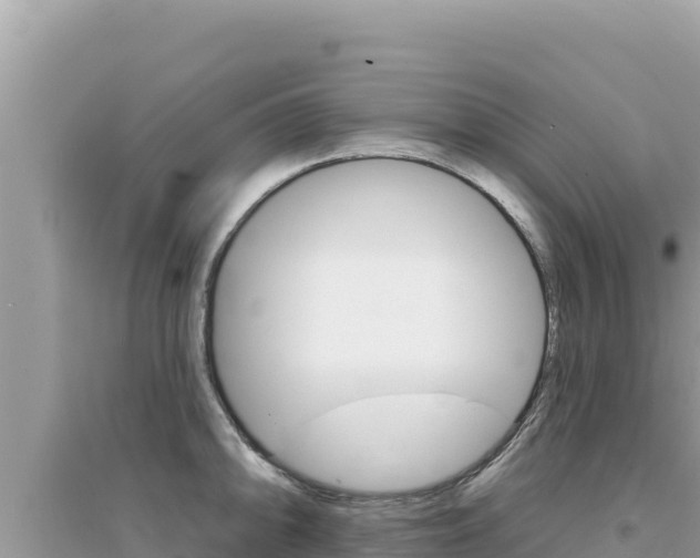 X0000095131094200712071002