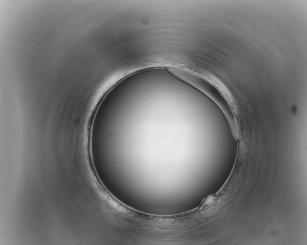 X0000095131096200712071002