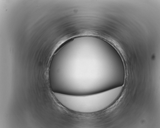 X0000095131097200712071002