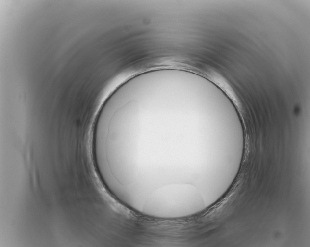 X0000095131098200712071002