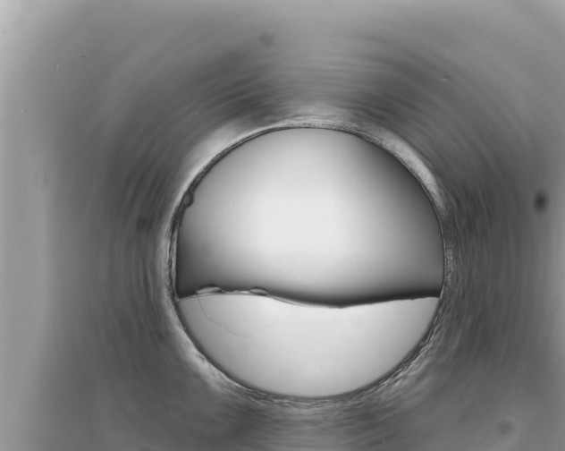 X0000095131099200712071002