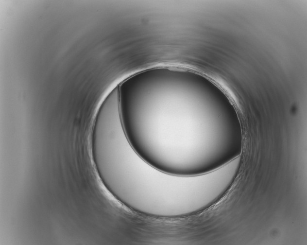 X0000095131100200712071002