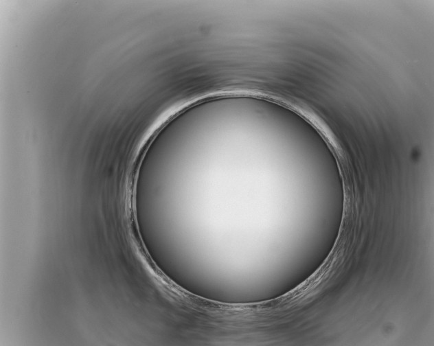 X0000095131101200712071002