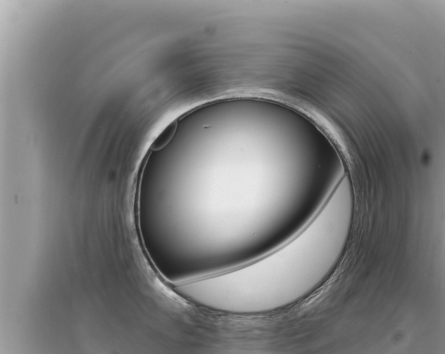 X0000095131102200712071002