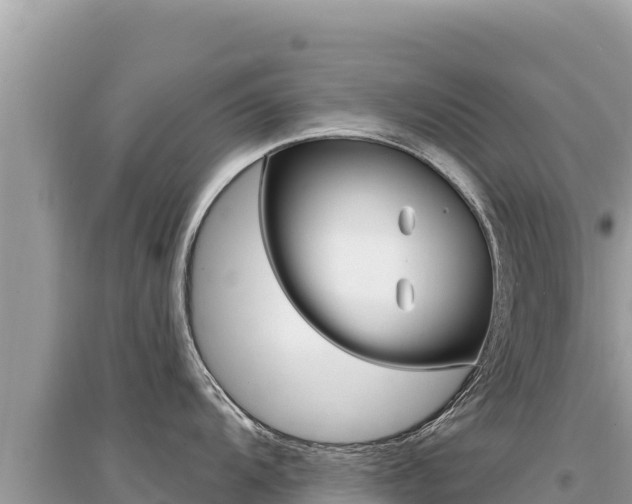 X0000095131104200712071002