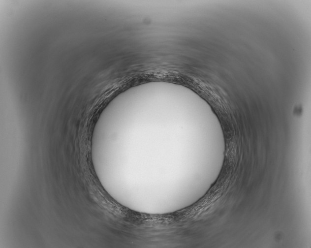 X0000095131105200712071001