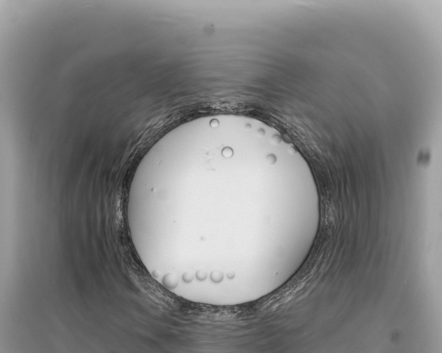 X0000095131106200712071001