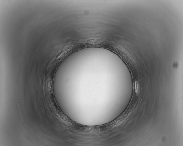 X0000095131107200712071001