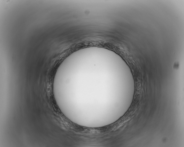 X0000095131109200712071001