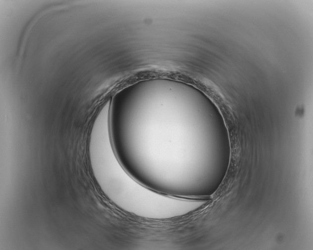 X0000095131110200712071001