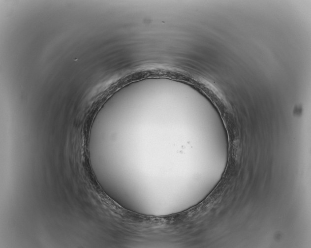X0000095131111200712071001