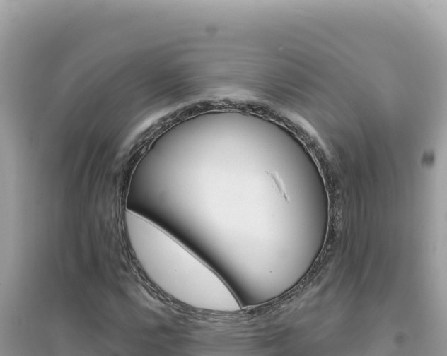 X0000095131112200712071001