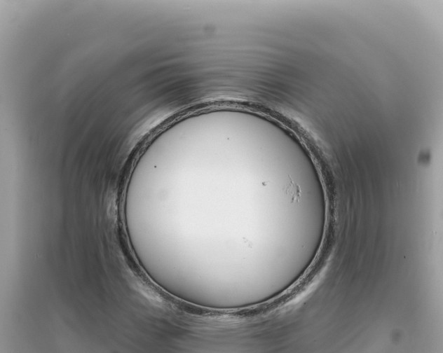 X0000095131113200712071001