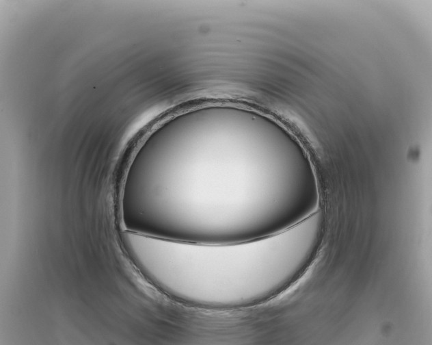 X0000095131114200712071001