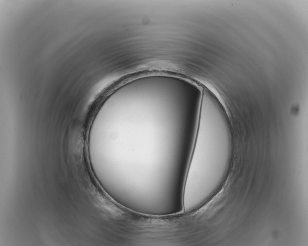 X0000095131115200712071001