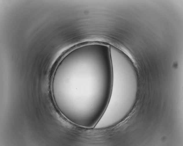 X0000095131116200712071001