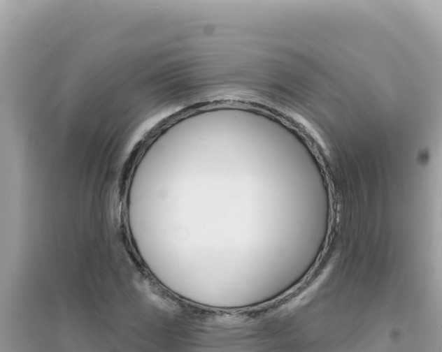 X0000095131117200712071001