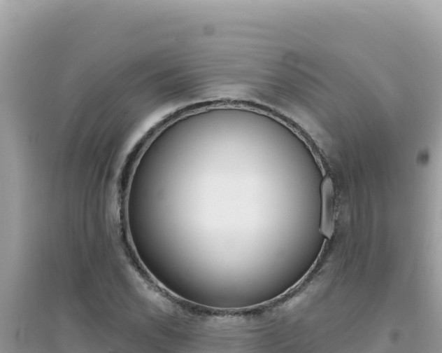 X0000095131118200712071001