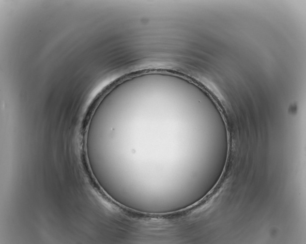X0000095131119200712071001