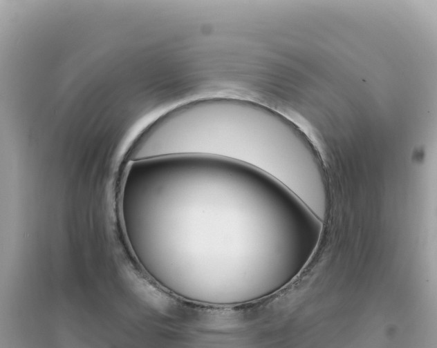X0000095131120200712071001