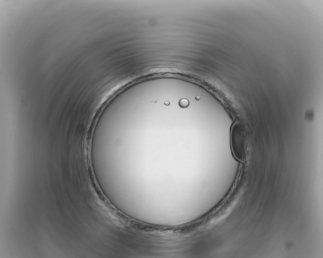 X0000095131121200712071001