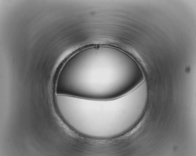 X0000095131122200712071001