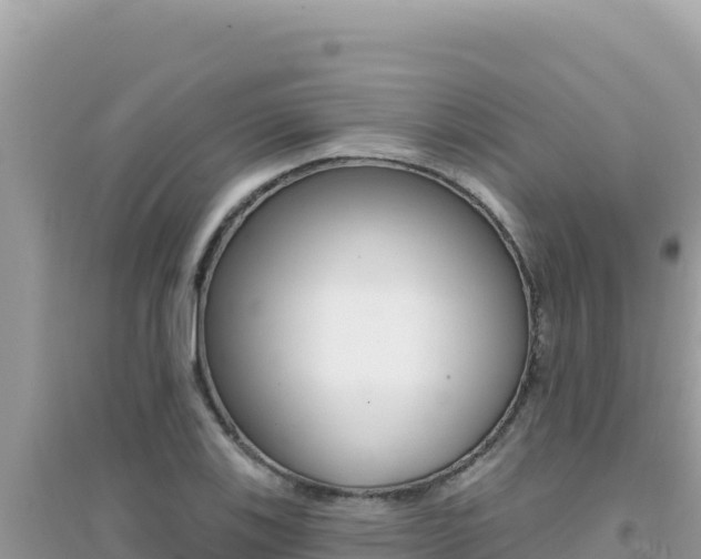 X0000095131123200712071001