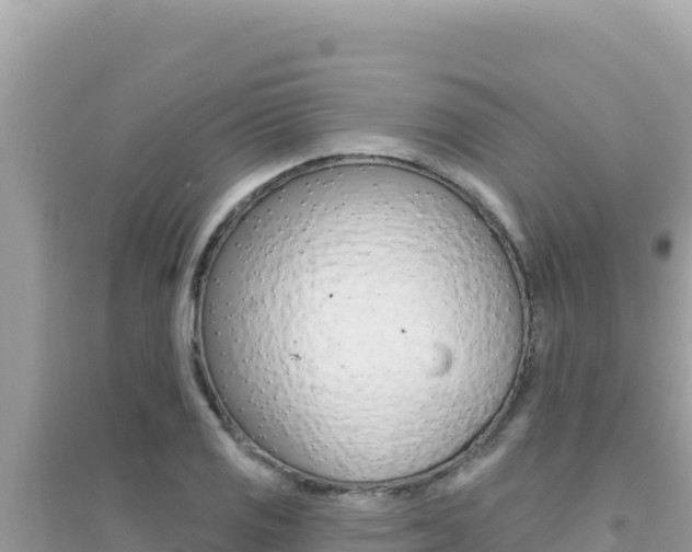 X0000095131125200712071001