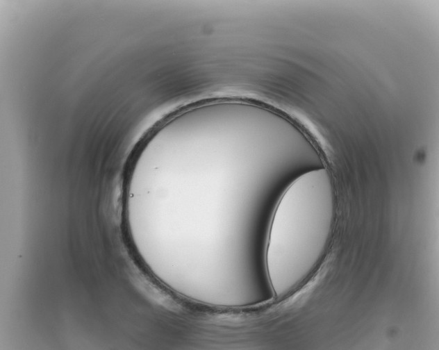 X0000095131126200712071001