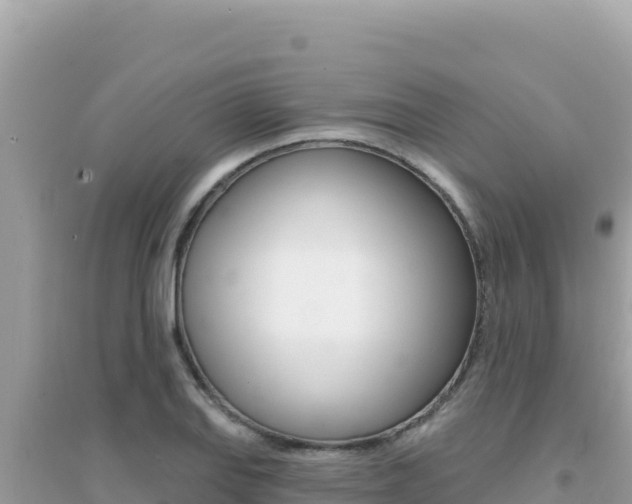 X0000095131127200712071001