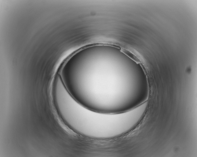 X0000095131128200712071001