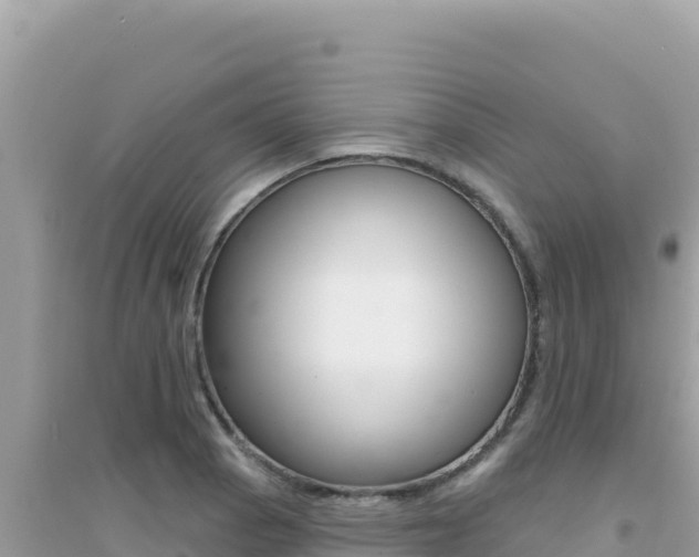 X0000095131129200712071001