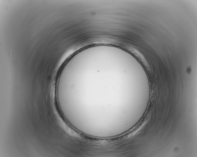 X0000095131130200712071001