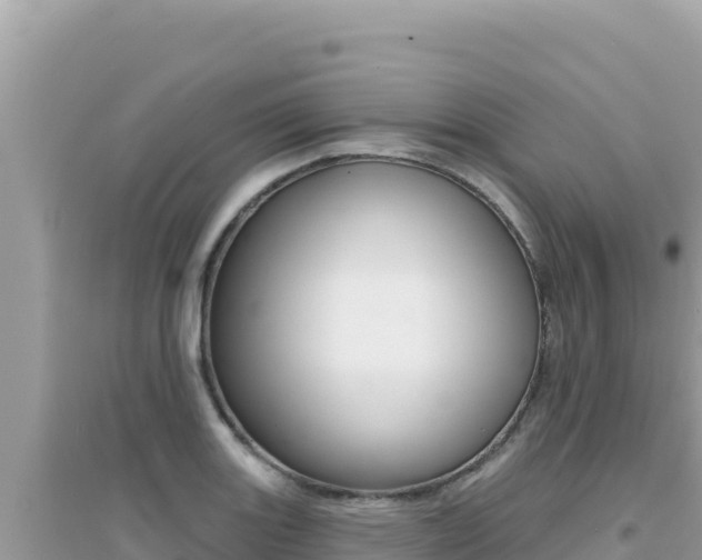 X0000095131131200712071001
