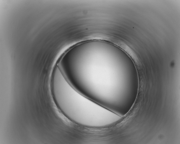 X0000095131132200712071001