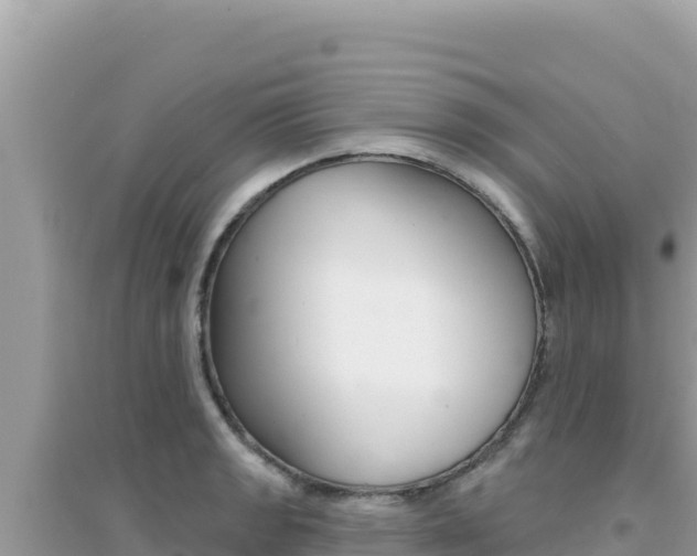 X0000095131133200712071001