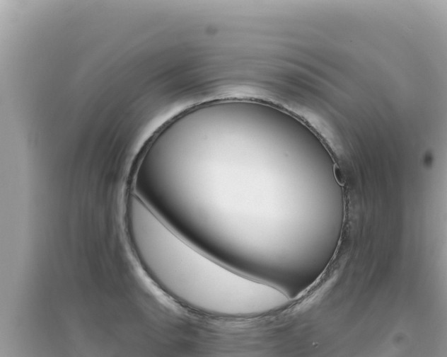 X0000095131134200712071001