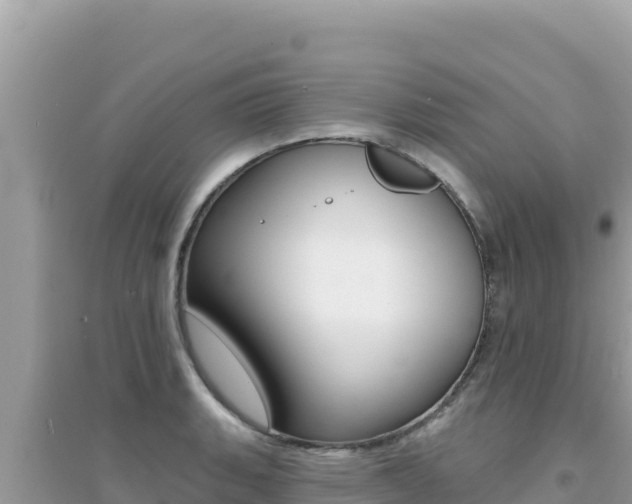 X0000095131135200712071001