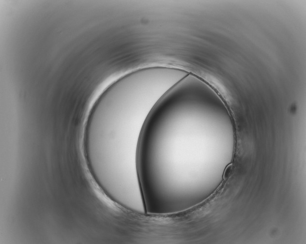 X0000095131136200712071001