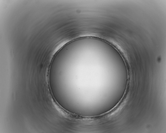 X0000095131137200712071001