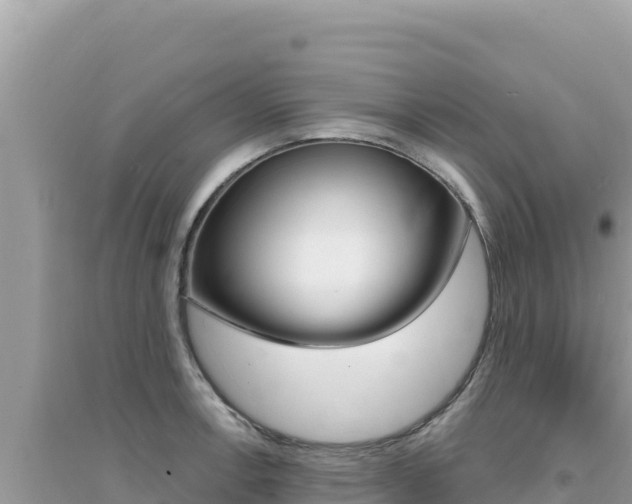 X0000095131138200712071001