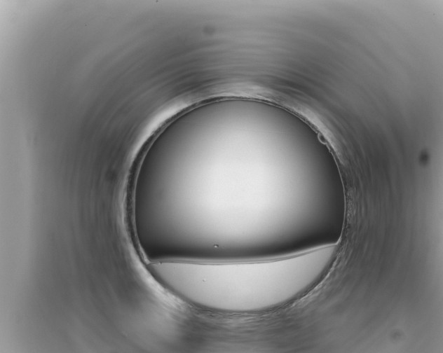 X0000095131139200712071001